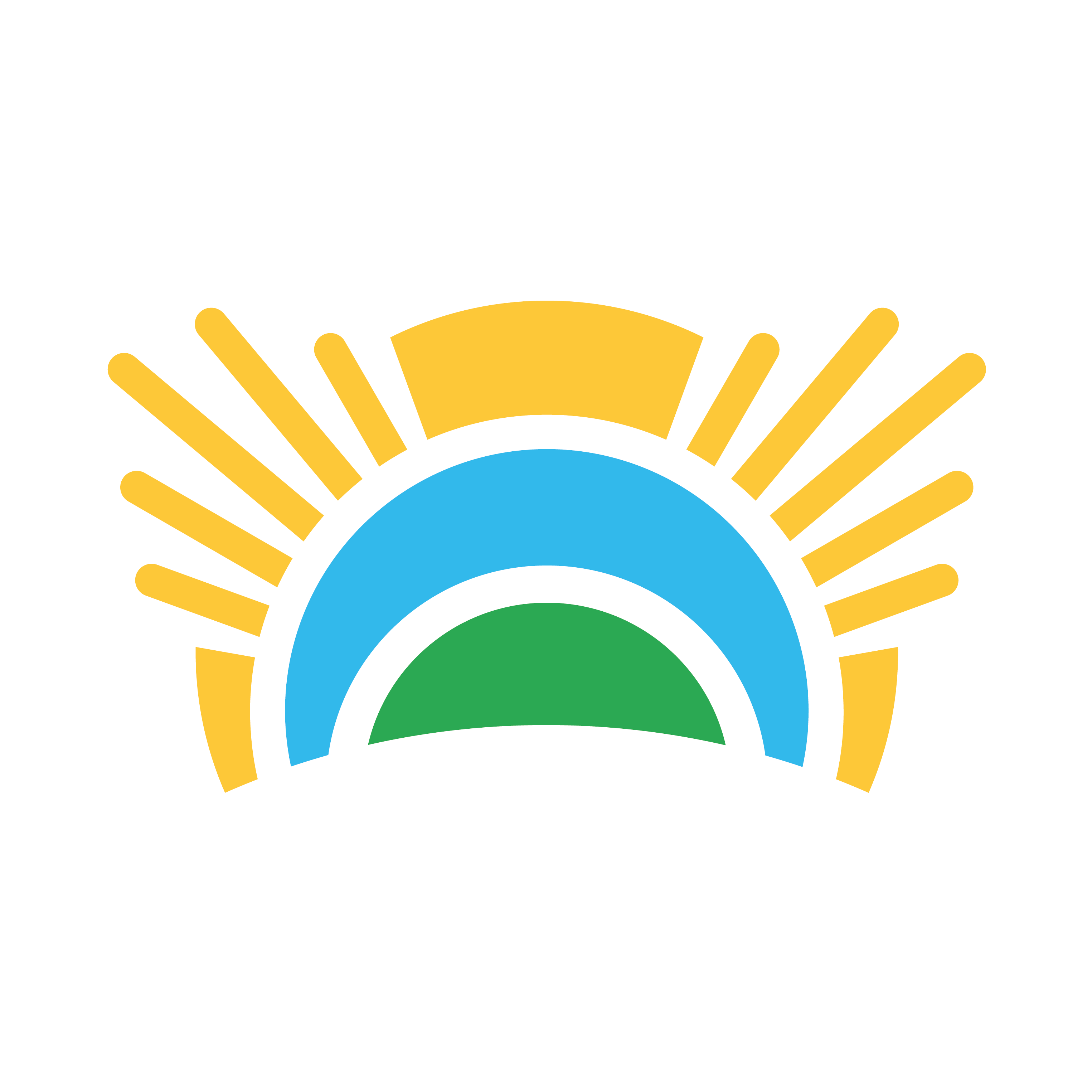 Chief Sustainability Office Logo